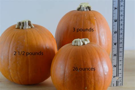 Average Weight of a Bin of Pumpkins